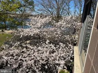 550 N St Sw #s201, Washington, DC 20024 - #2