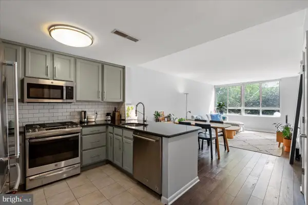 355 I St Sw #217, WASHINGTON, DC 20024