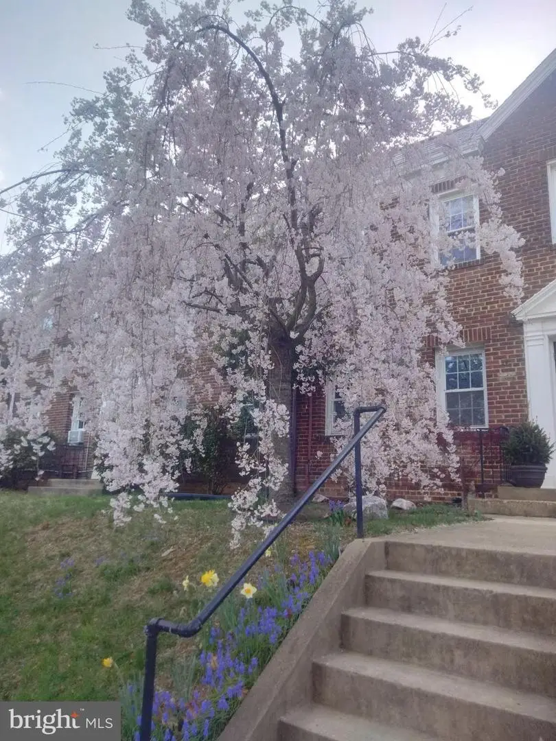 2228 40th St Nw #1, Washington, DC 20007 - #1