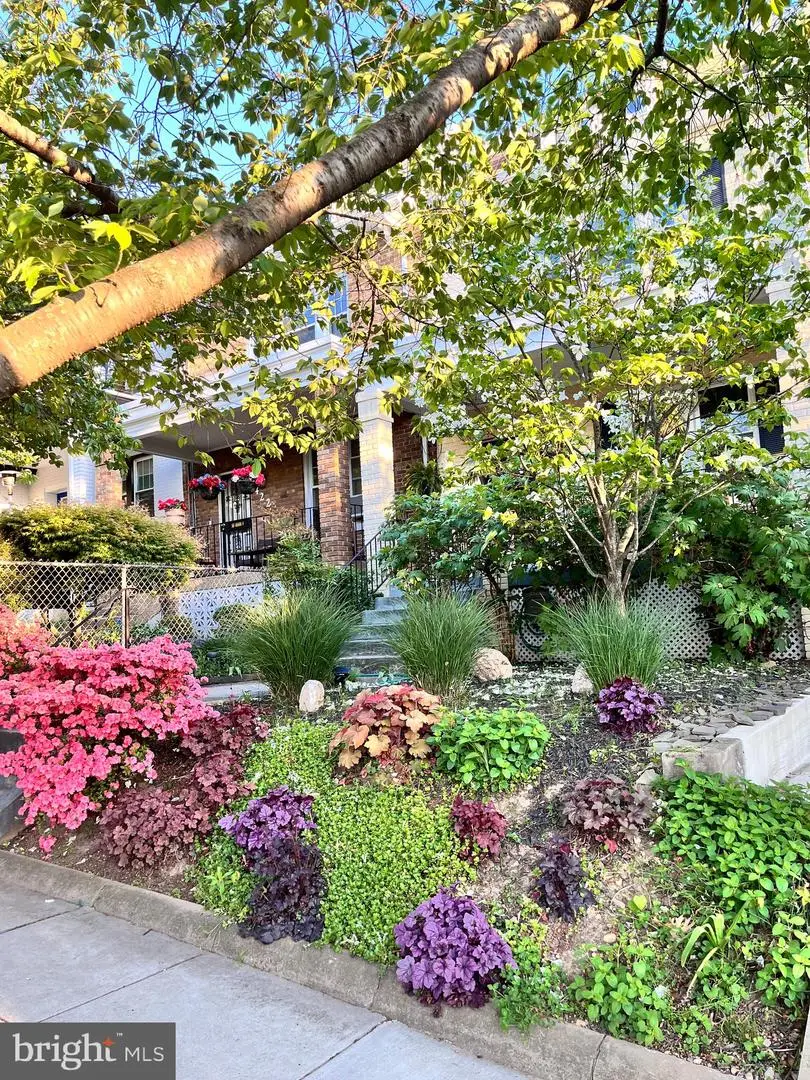 424 Allison St Nw, Washington, DC 20011 - #2