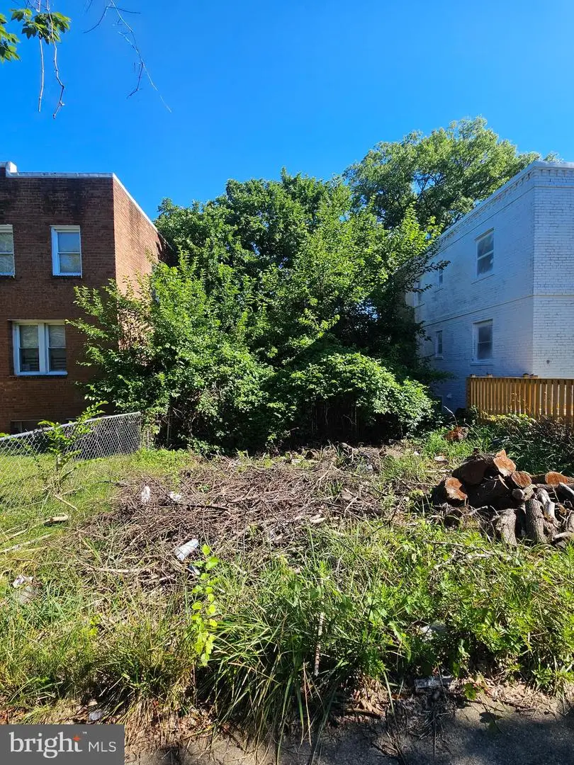 4224 Foote St Ne, Washington, DC 20019 - #3