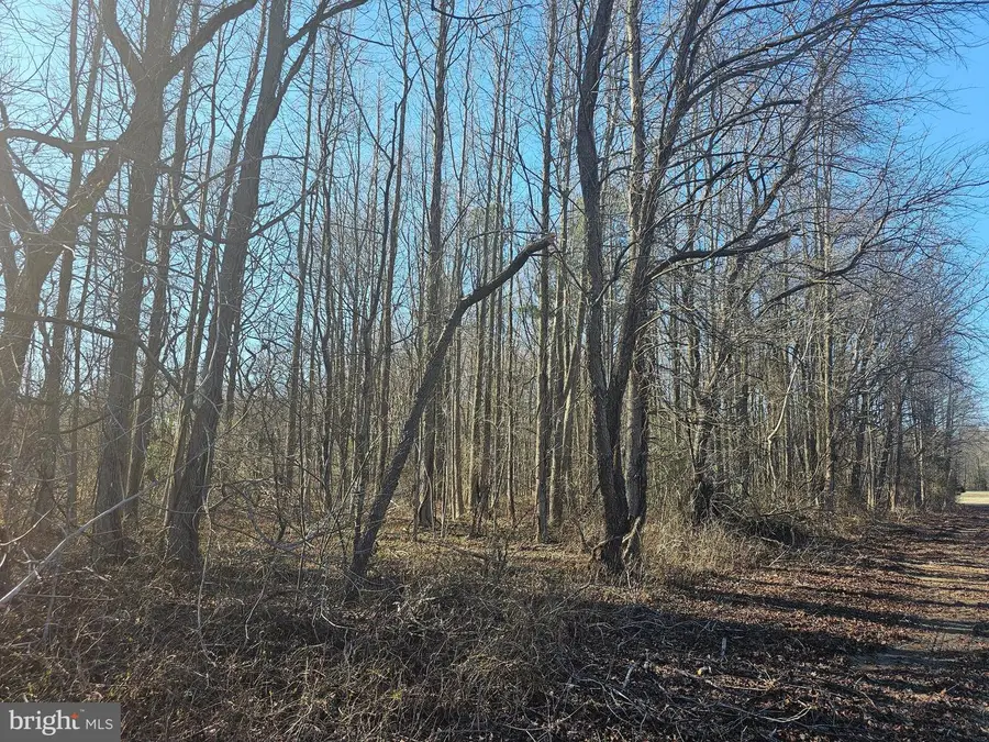 Fords Corner Rd, Dover, DE 19904 - Image #2