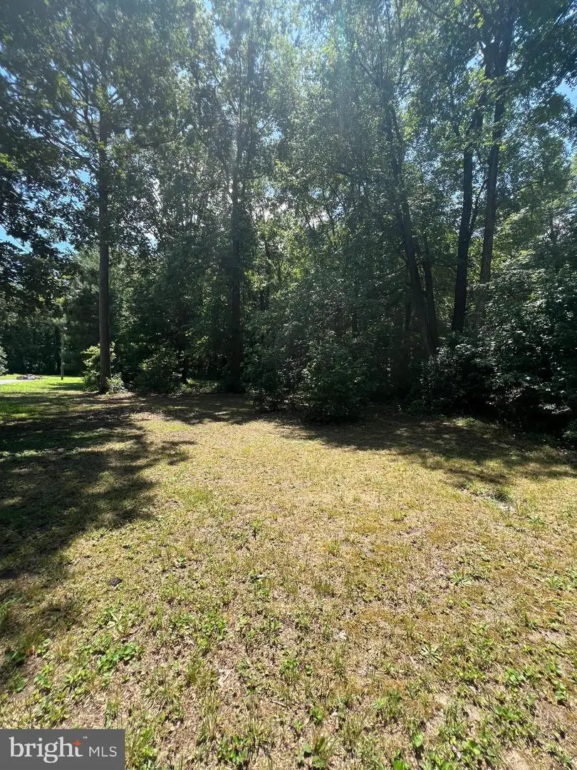 Gun & Rod Club Rd, Houston, DE 19954 - Image #1