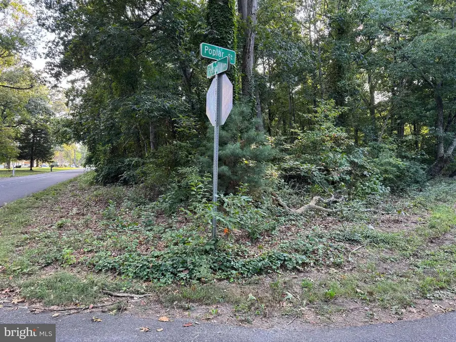 904 Poplar St, Milford, DE 19963 - Image #2