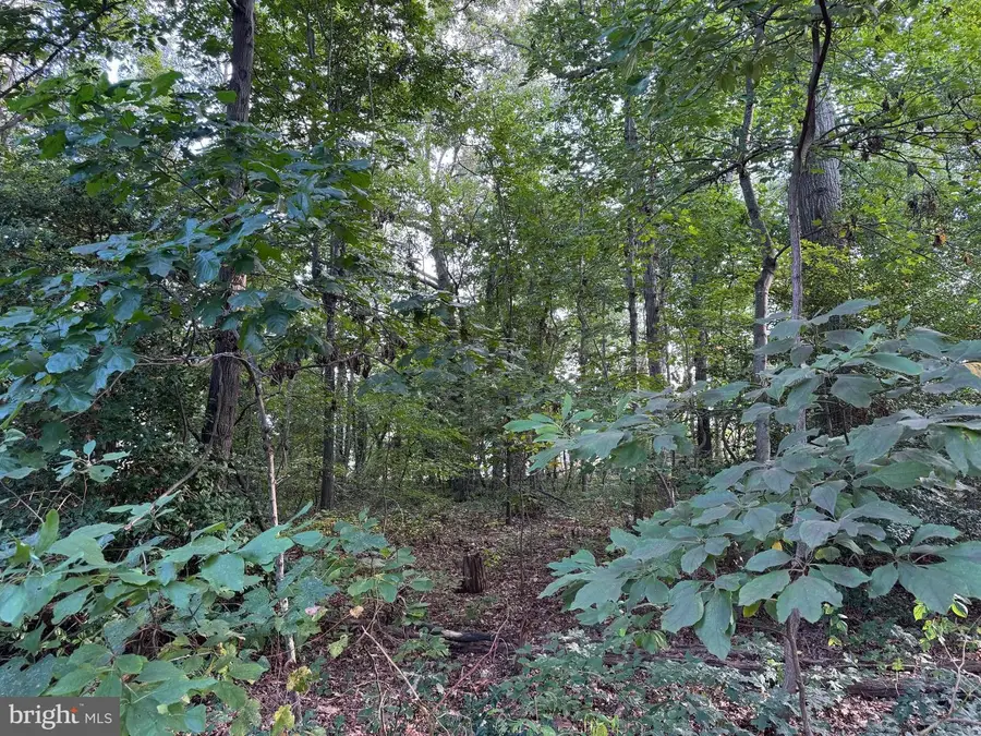 904 Poplar St, Milford, DE 19963 - Image #3