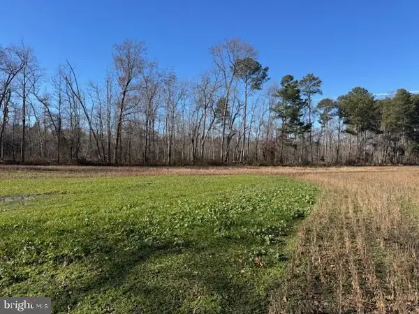 0 Sandtown Rd, FELTON, DE 19943