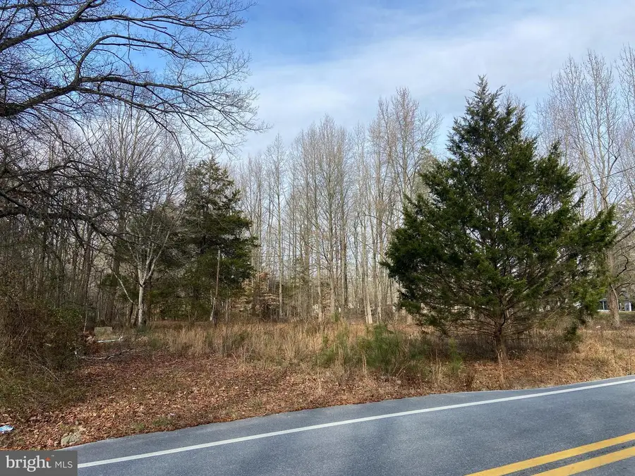 727 Westville Rd, Marydel, DE 19964 - #3