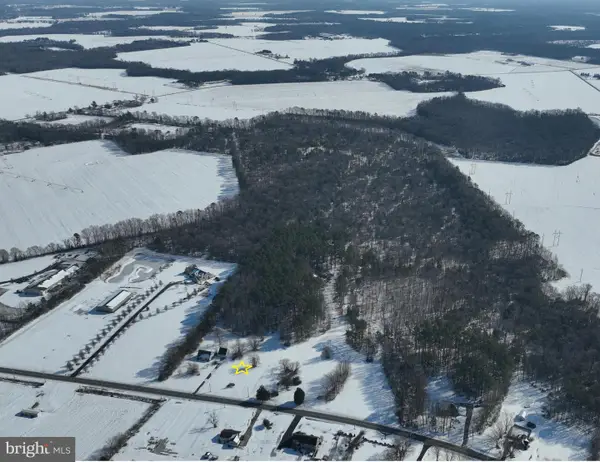 Lot 2 Williamsville Rd, HOUSTON, DE 19954