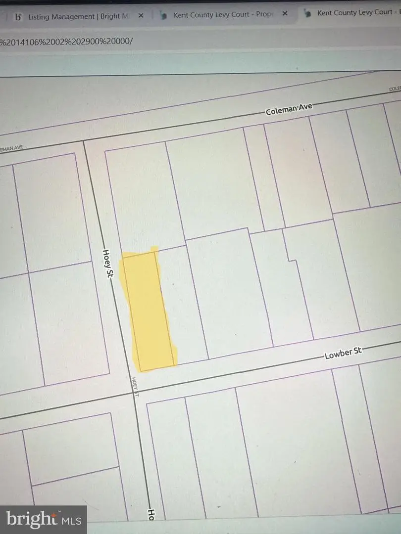 Lot 35 Lowber St., Frederica, DE 19946 - #2