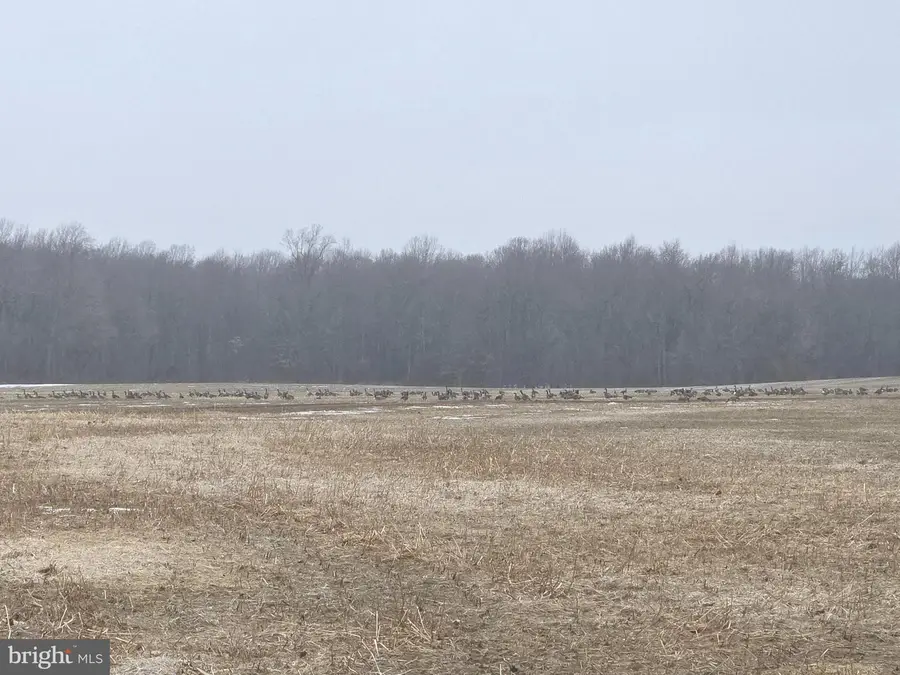 Winding Creek Rd, Dover, DE 19901 - #3