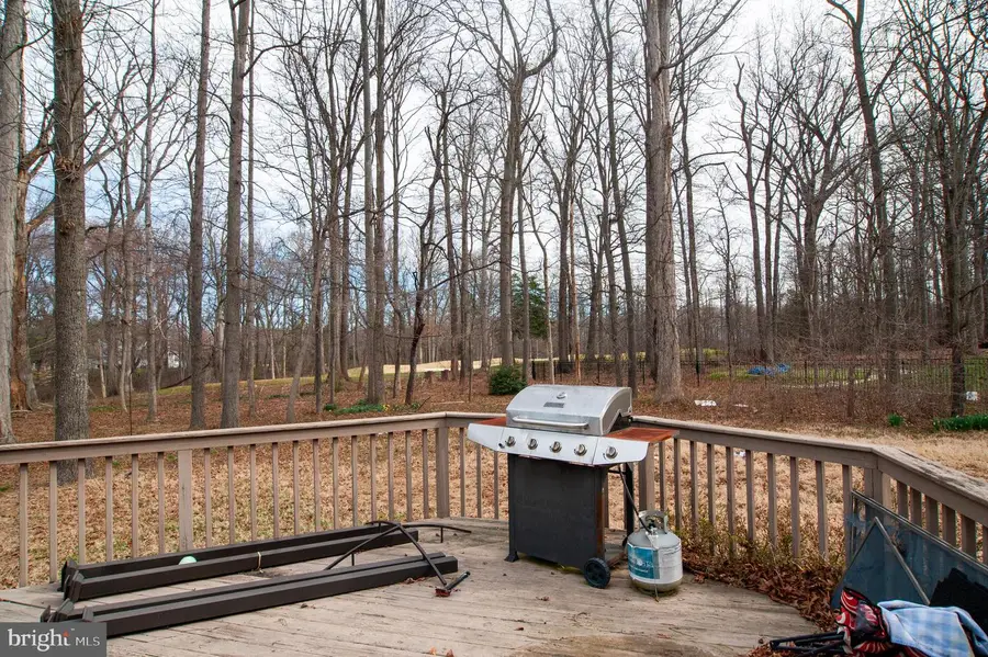 703 Green Winged Trl, Camden Wyoming, DE 19934 - #3