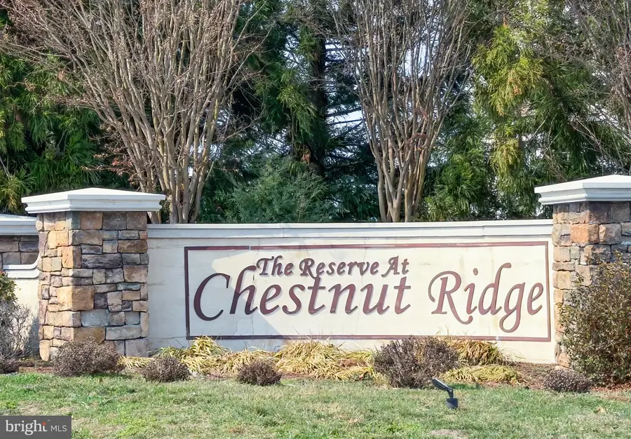 171 Cinnamon Way, Magnolia, DE 19962 - #3