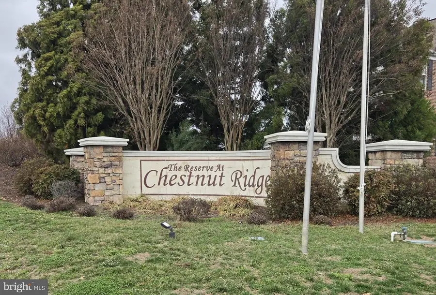 250 Paysan Ln, Magnolia, DE 19962 - #2