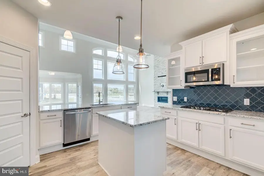 54 Levee Ct, Frederica, DE 19946 - #2