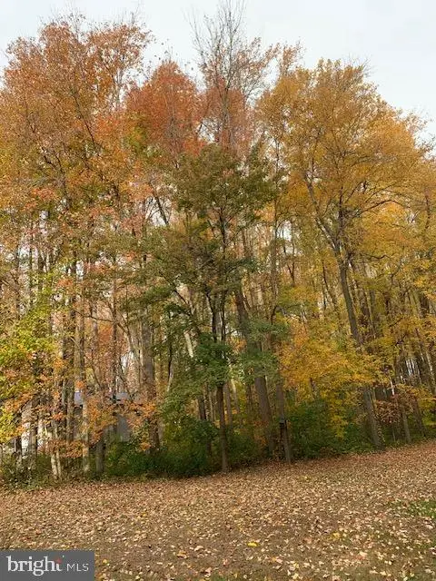 Lynnbury Woods Rd, Dover, DE 19904 - #1