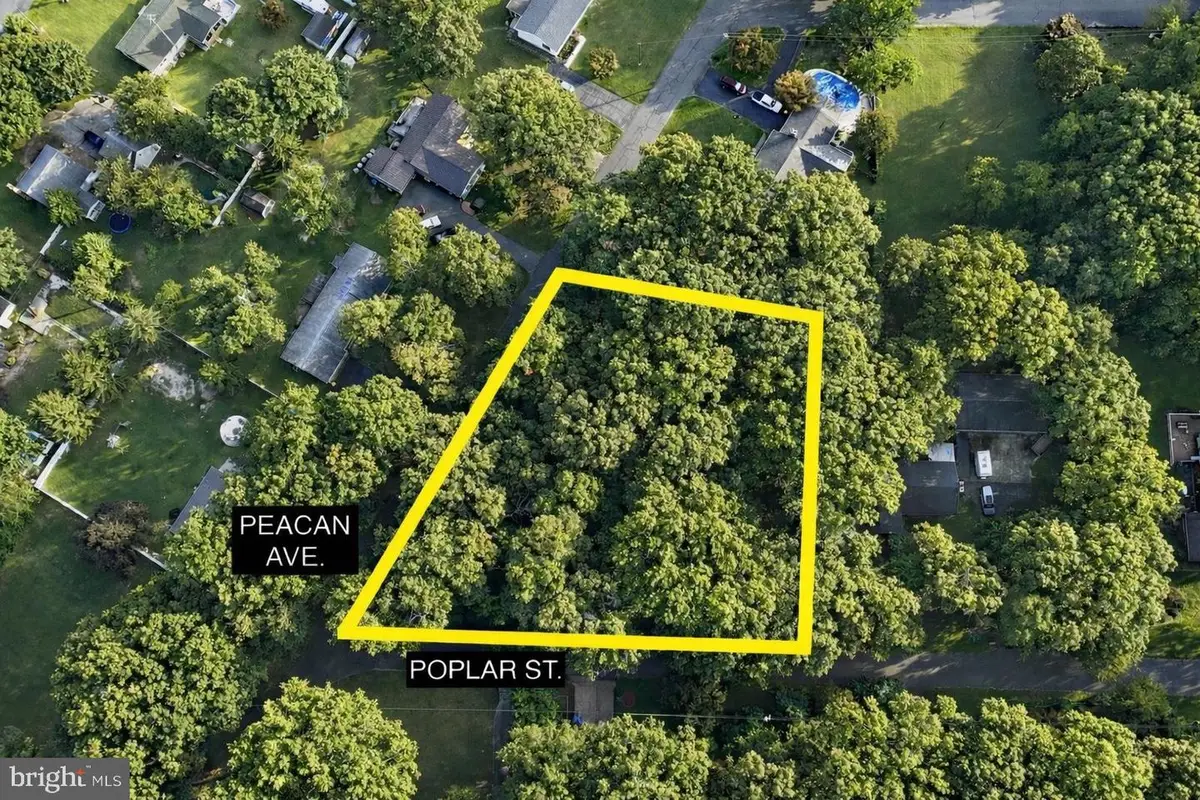 902 Poplar St, Milford, DE 19963 - #1