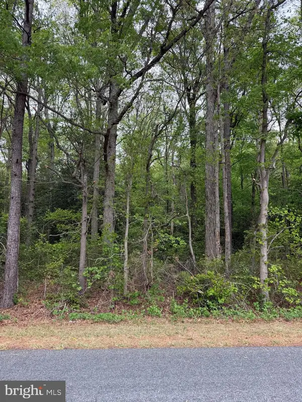 Lot 3 Hunting Quarter Rd, HOUSTON, DE 19954