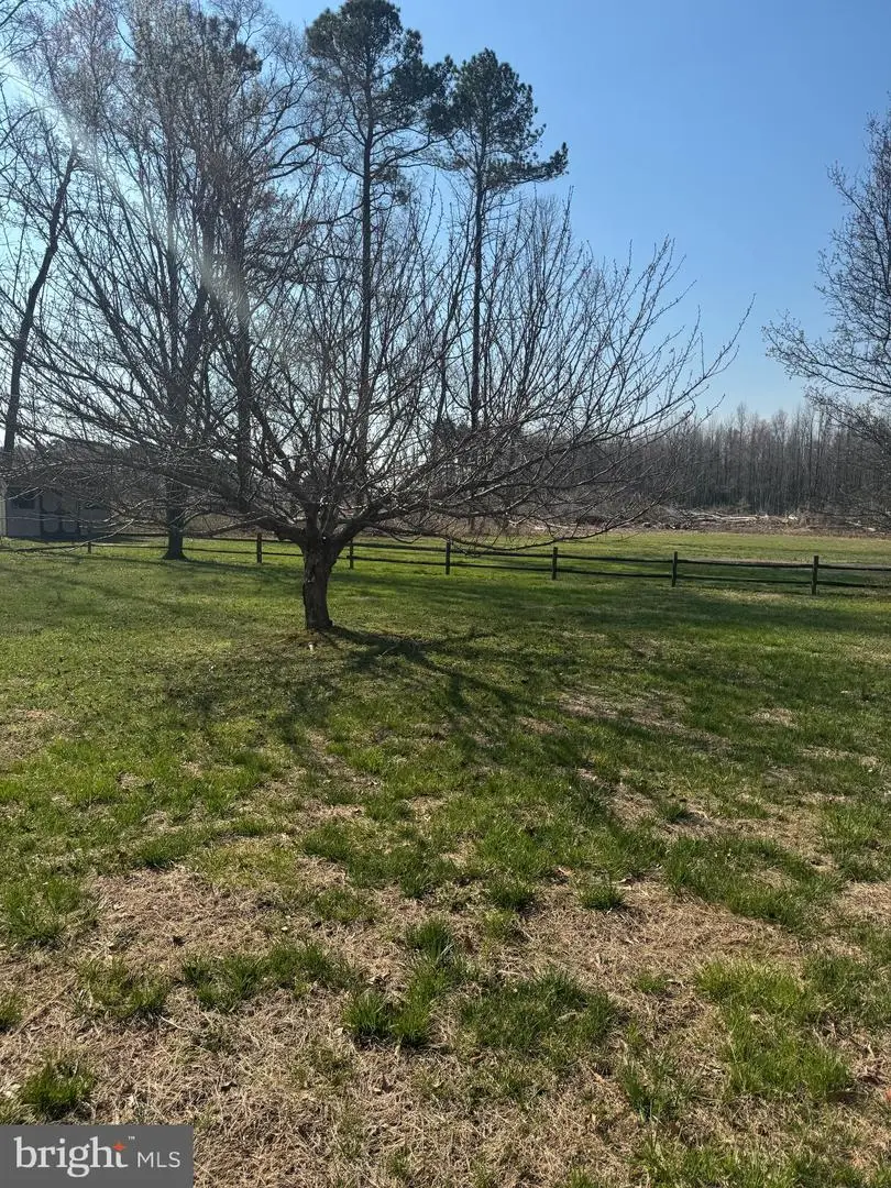 1493 Hogtown Rd, Harrington, DE 19952 - #3