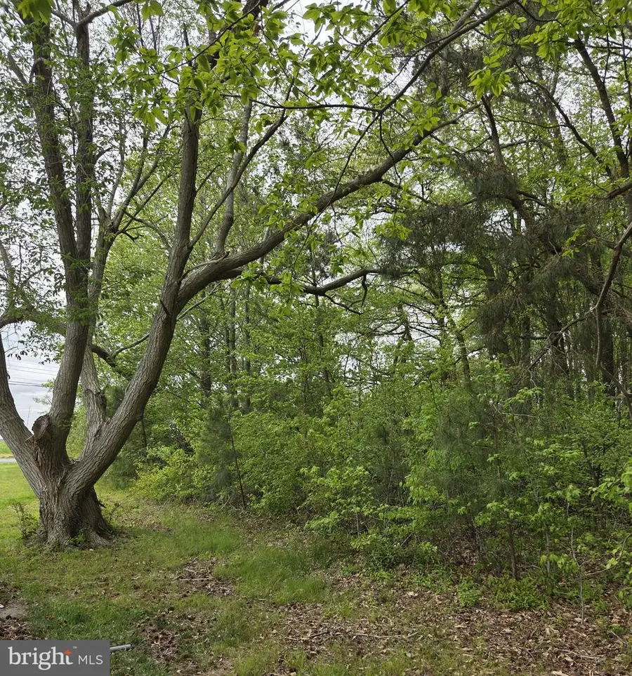 0 Pickering Beach Rd, Dover, DE 19901 - #2