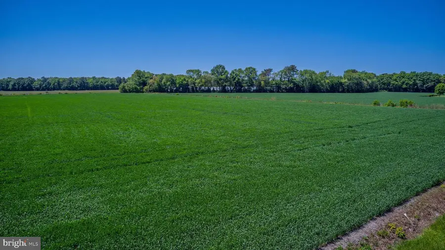 Lot#11 Tower Rd, Camden Wyoming, DE 19934 - #3