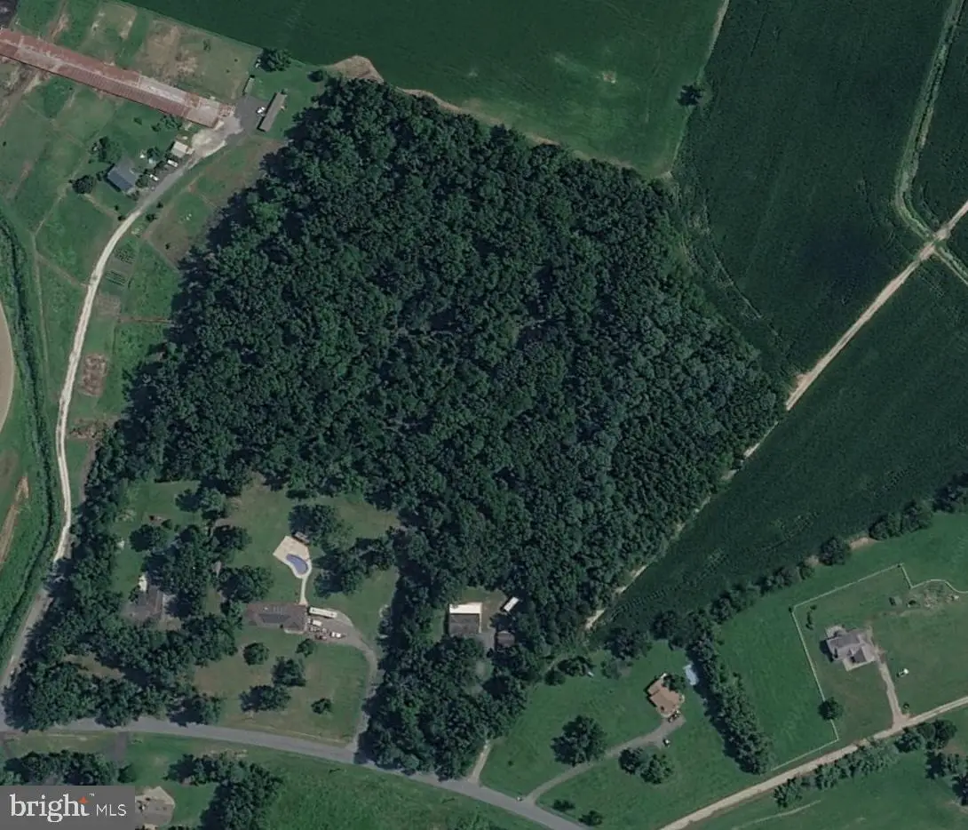 Vacant Lot 6.1 Acres Prospect Church Rd, Harrington, DE 19952 - #1