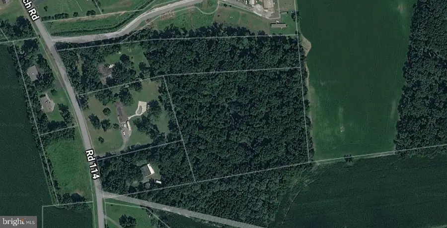 Vacant Lot 6.1 Acres Prospect Church Rd, Harrington, DE 19952 - #2