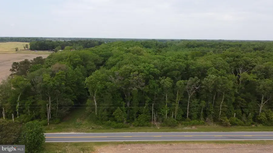 Lot 4 Cedar Grove Church Rd, Felton, DE 19943 - #3