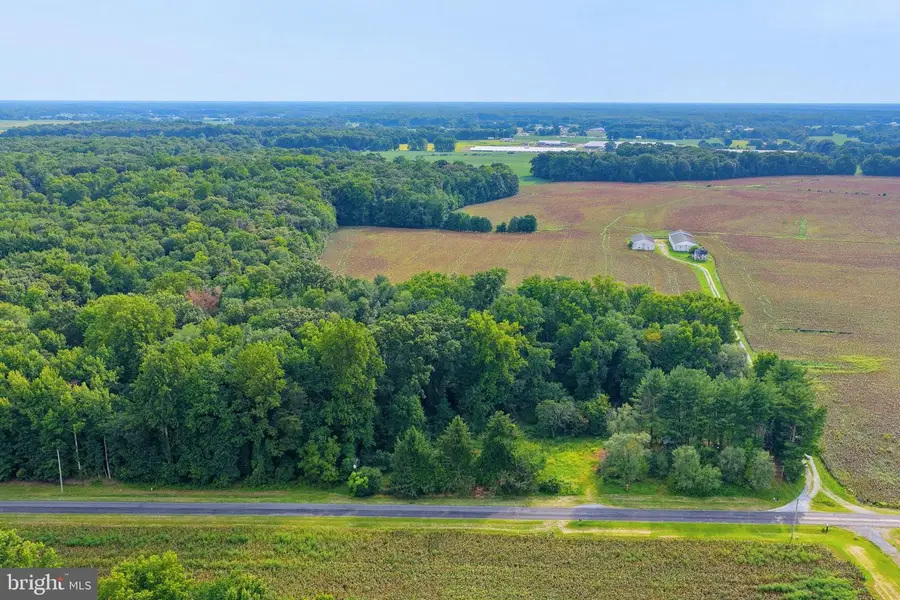 1494 Crystal Rd, Hartly, DE 19953 - #2