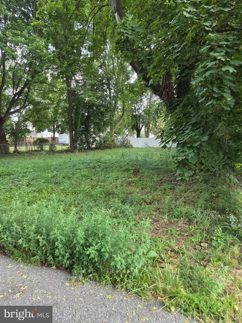 133 Fisher St S, Smyrna, DE 19977 - #1