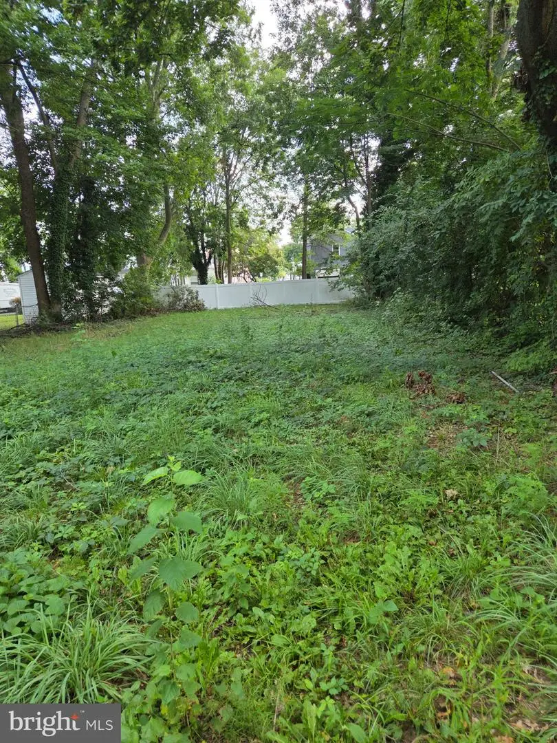 133 Fisher St S, Smyrna, DE 19977 - #2