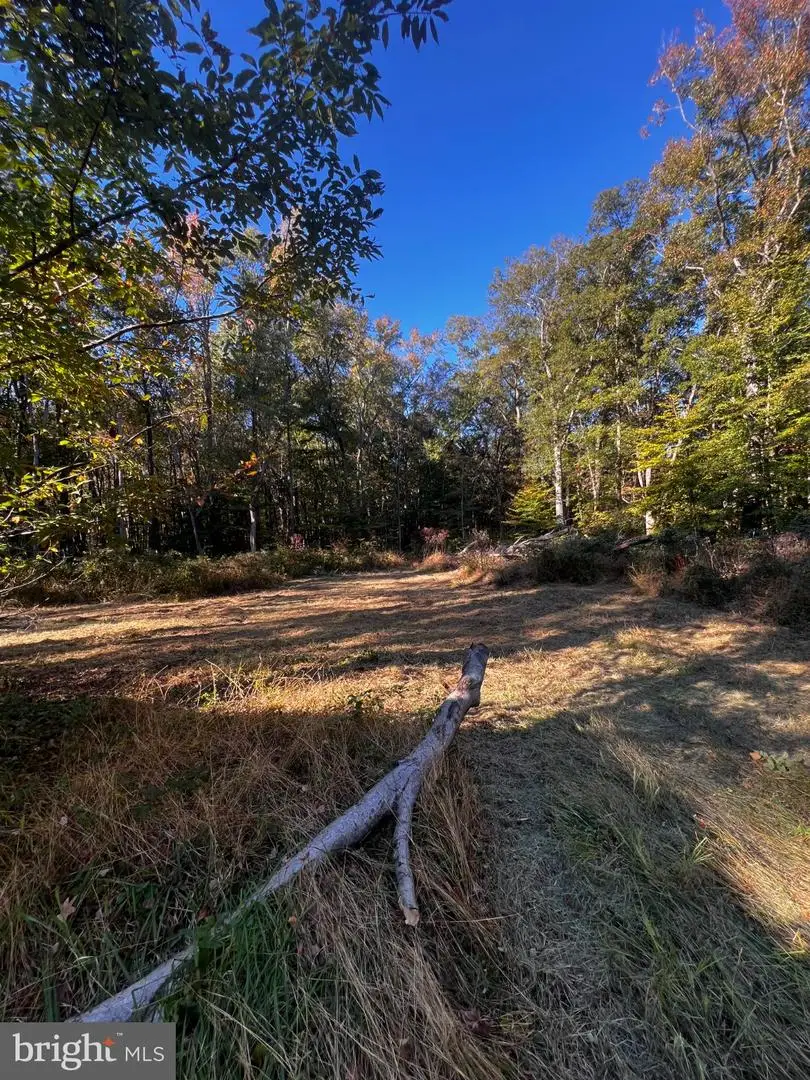 3076 Downs Chapel Rd, Clayton, DE 19938 - #2