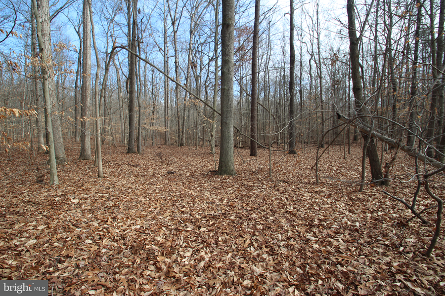 0 Dexter Corner Rd, Townsend, DE 19734 - Image #2