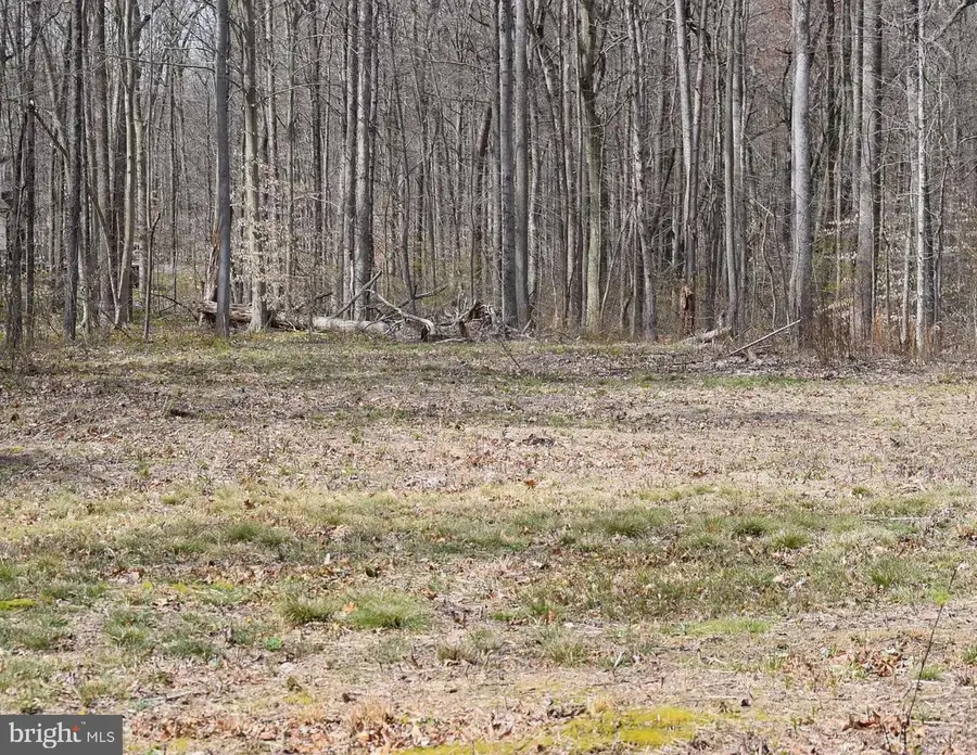 355 Masseys Church Rd, Smyrna, DE 19977 - Image #2