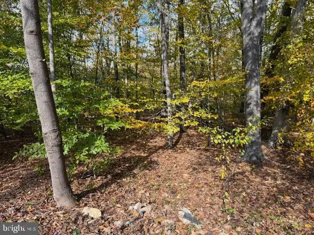 12 Pleasant Wood Rd, Newark, DE 19702 - Image #3