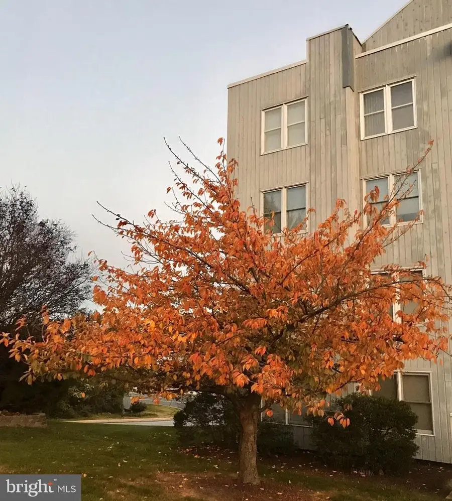 5219 Le Parc Dr #2, Wilmington, DE 19809 - Image #3