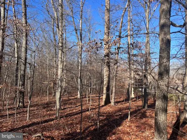 0 Lot 6 Ratledge Rd, TOWNSEND, DE 19734