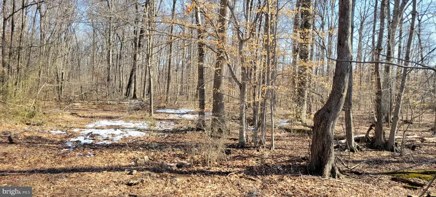 373 Maryland Line Rd, Townsend, DE 19734 - #3