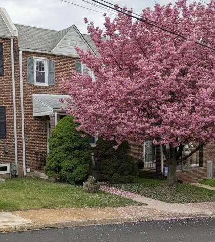 1407 Beech St, Wilmington, DE 19805 - #3