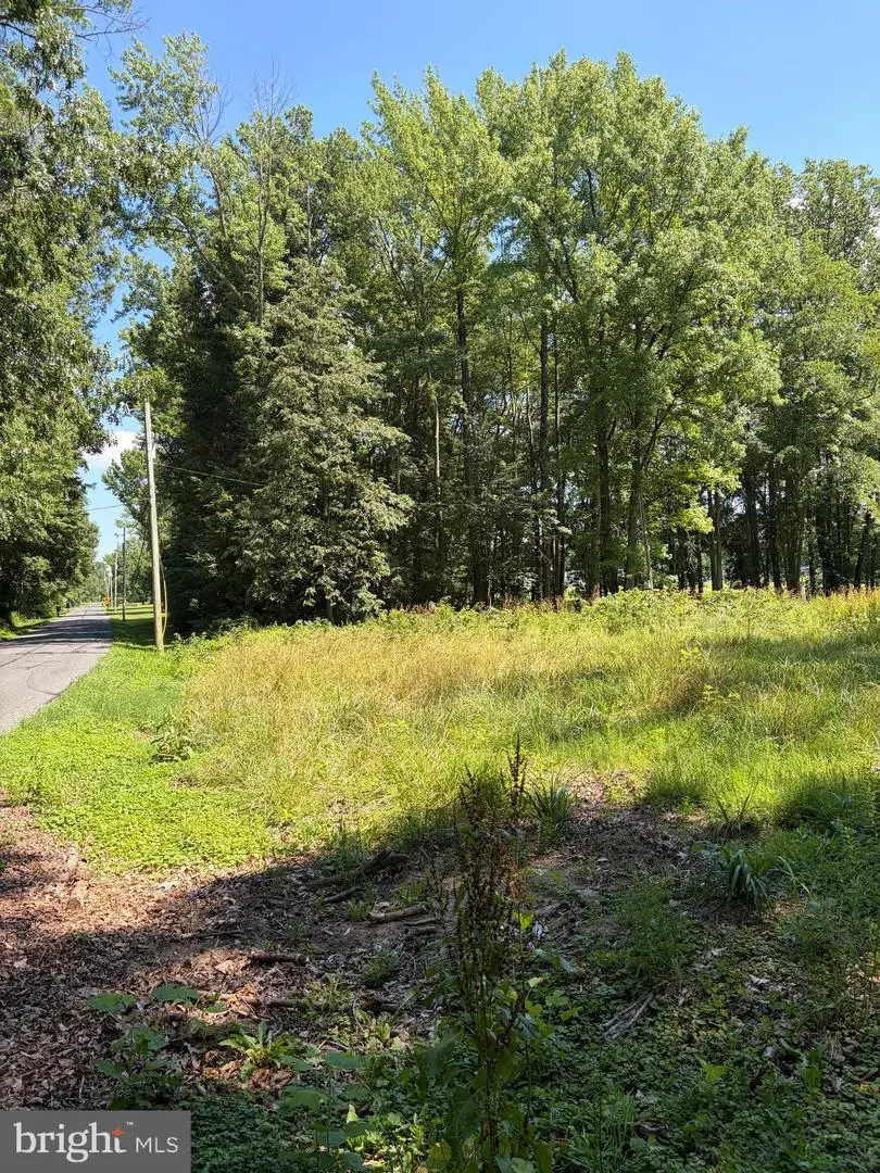 226 Black Stallion Rd, Townsend, DE 19734 - #1