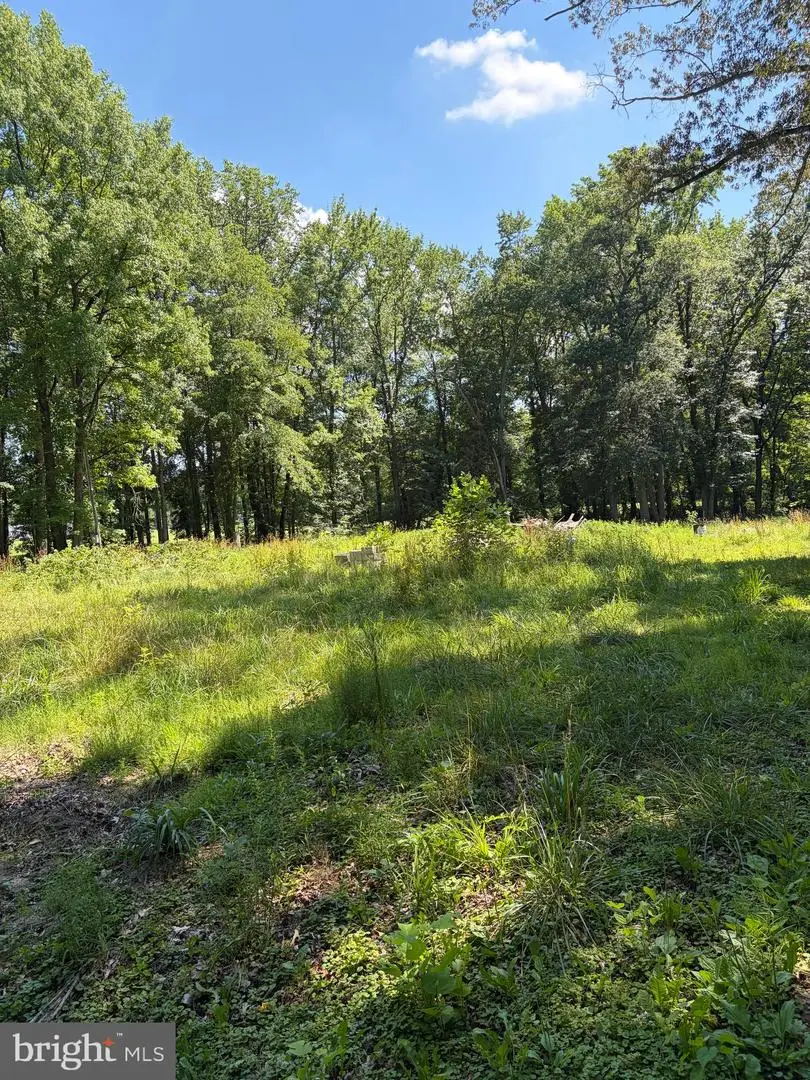 226 Black Stallion Rd, Townsend, DE 19734 - #2