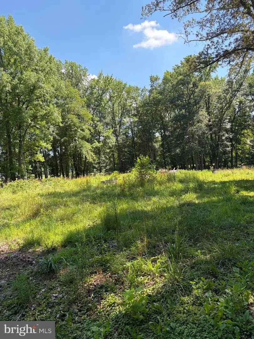 226 Black Stallion Rd, Townsend, DE 19734 - #3