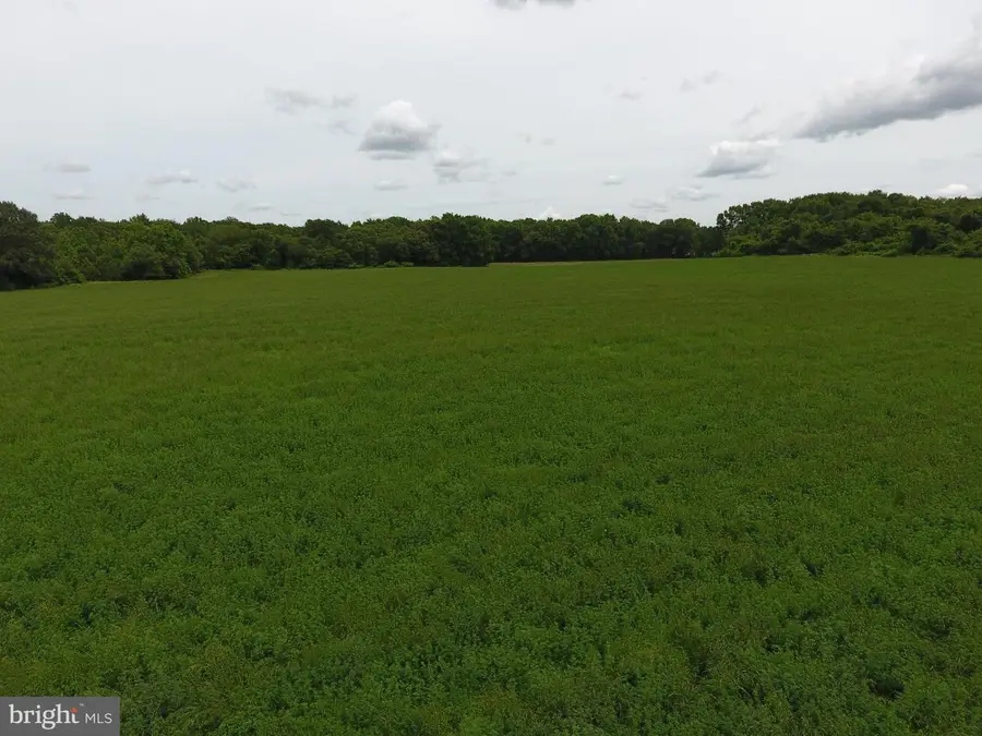 12423 Sussex Hwy, Greenwood, DE 19950 - Image #3