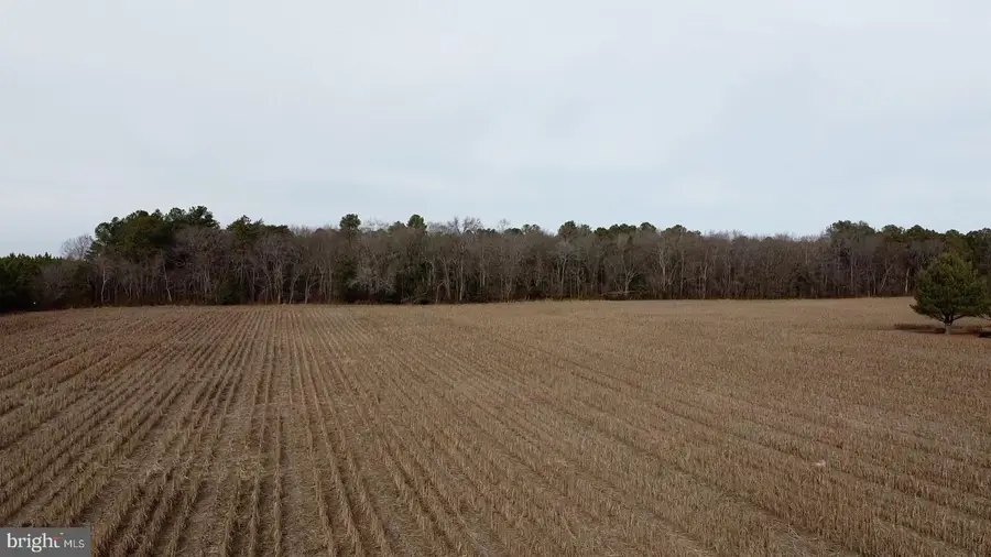 21063 Wilson Rd, Georgetown, DE 19947 - Image #3