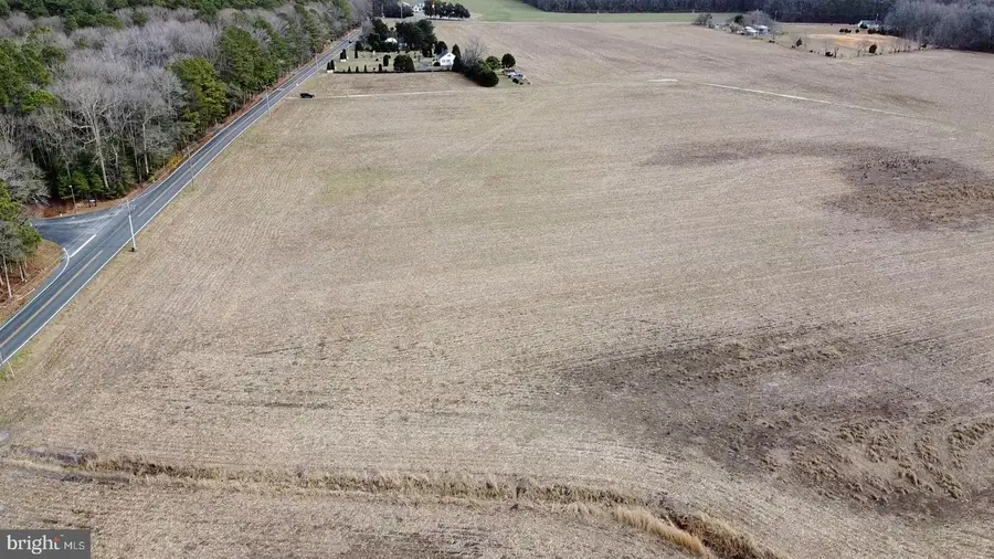 21114 Wilson Rd, Georgetown, DE 19947 - Image #3