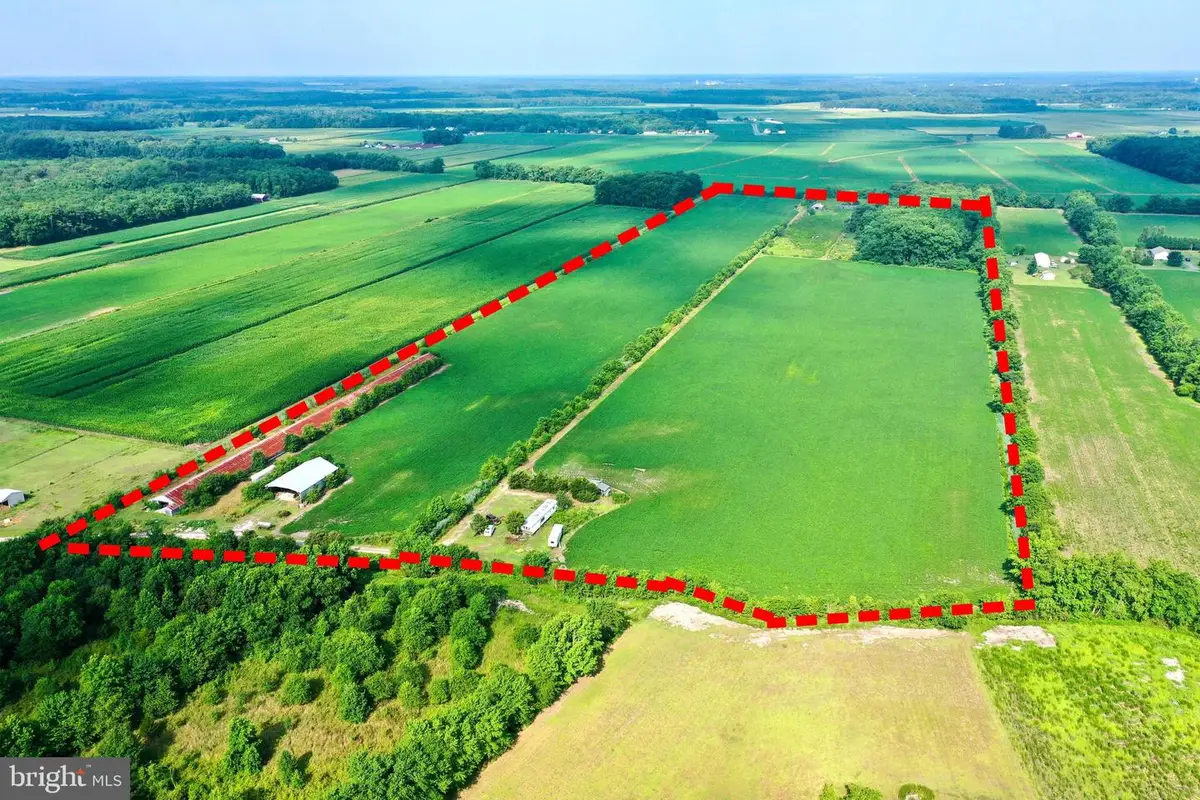 34311 Horse Play Way, Frankford, DE 19945 - Image #1