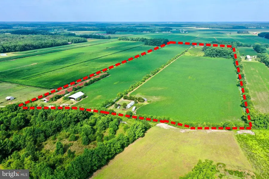 34311 Horse Play Way, Frankford, DE 19945 - Image #2