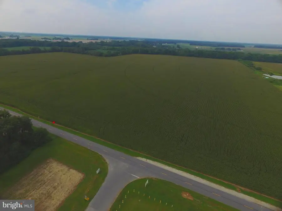 Adams Road, Bridgeville, DE 19933 - Image #2