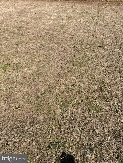 17725 Bridlewood Rd, Milton, DE 19968 - Image #3