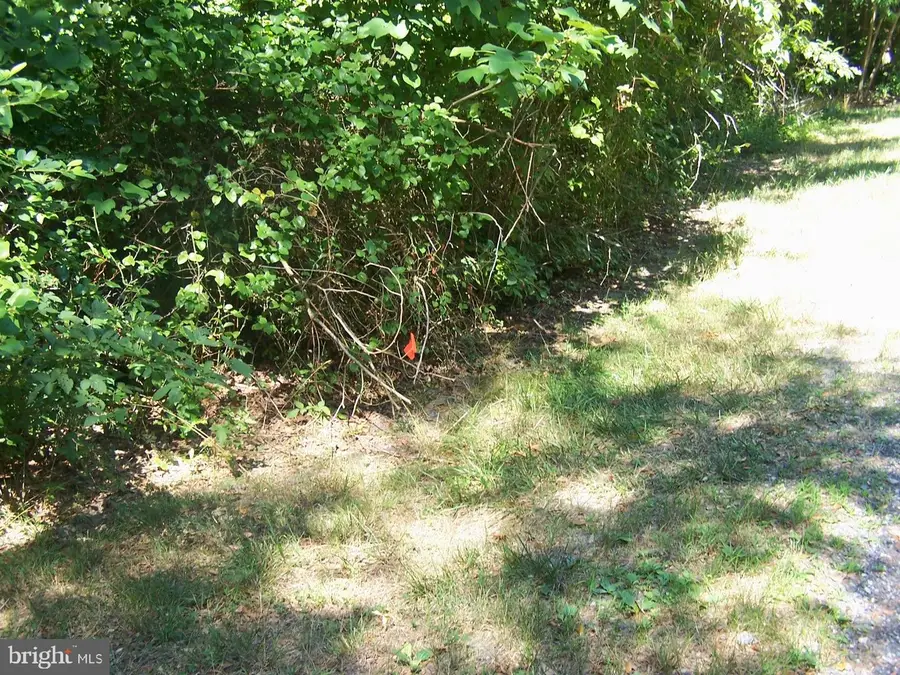 Lot 2 Cat Boat Alley, Seaford, DE 19973 - Image #2