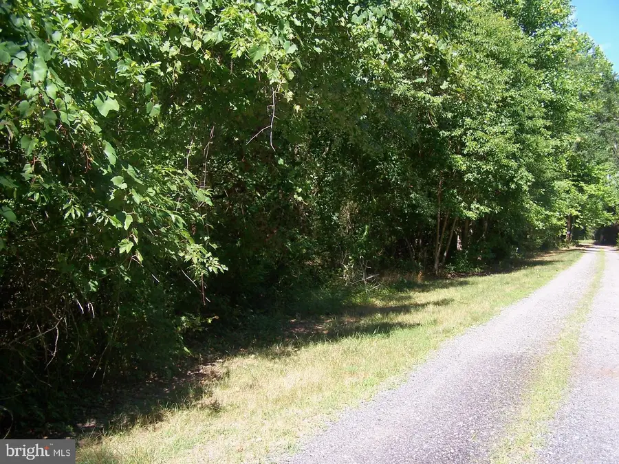 Lot 2 Cat Boat Alley, Seaford, DE 19973 - Image #3